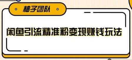 闲鱼引流精准粉变现赚钱玩法，每天可以引流精准粉100+-课程网