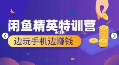 翼牛学堂 闲鱼项目精英特训营培训视频，月光族上班族的闲鱼赚钱课程-课程网