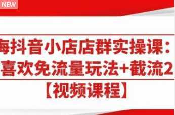 大海抖音小店店群实操课：猜你喜欢免流量玩法+截流 2.0-课程网