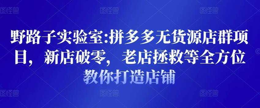 野路子实验室:拼多多无货源店群项目，新店破零，老店拯救等全方位教你打造店铺-课程网