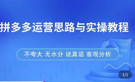 拼多多店铺运营思路与实操教程，快速学会拼多多开店和运营，少踩坑，多盈利-课程网