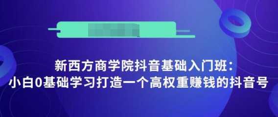 抖音基础入门班：小白0基础学习打造一个高权重赚钱的抖音号-课程网