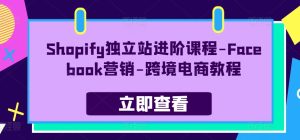 Shopify自建站升阶课程内容-Facebook营销推广-跨境电子商务实例教程-课程网