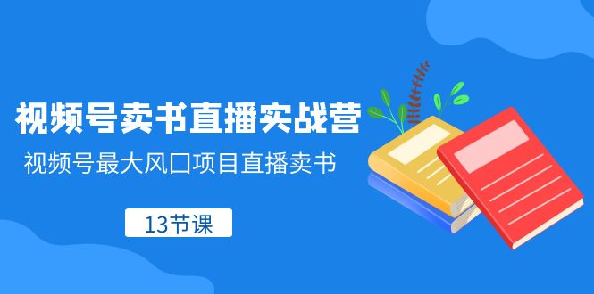 微信视频号-开书店直播间实战营，微信视频号较大风囗新项目直播卖书-暖阳网-优质付费教程和创业项目大全-课程网