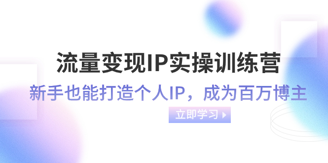 流量变现-IP实操训练营：新手也能打造个人IP，成为百万 博主-暖阳网-优质付费教程和创业项目大全-课程网