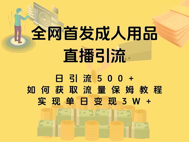 最新全网独创首发，成人用品直播引流获客暴力玩法，单日变现3w保姆级教程-暖阳网-优质付费教程和创业项目大全-课程网