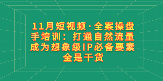 11月短视频·全案操盘手培训：打通自然流量 成为想象级IP必备要素 全是干货-暖阳网-优质付费教程和创业项目大全-课程网