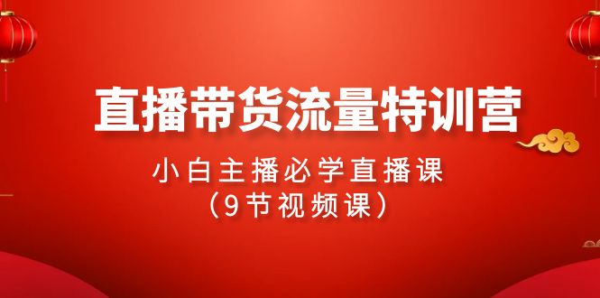 2024直播卖货总流量夏令营，新手网络主播必会视频课堂-课程网