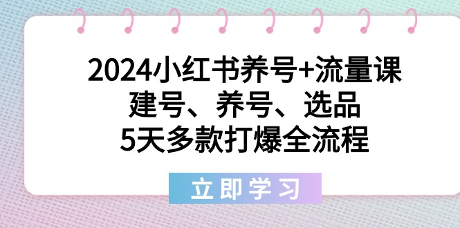 2024小红书的起号 总流量课：创号、起号、选款，5天几款打穿全过程-课程网