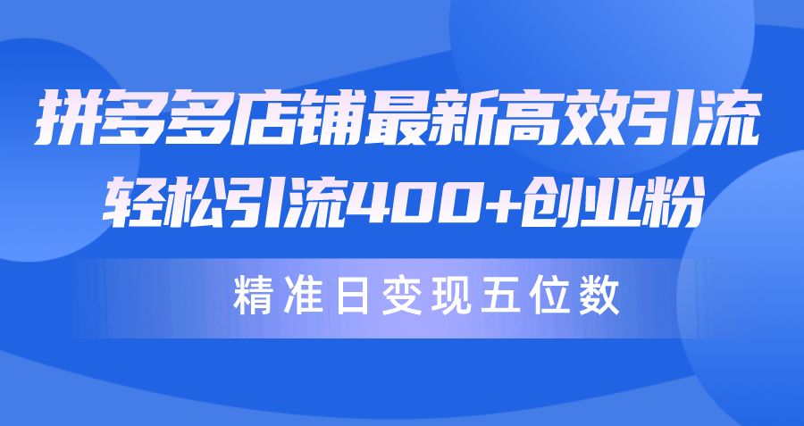 拼多多商家全新高效率引流术，轻轻松松引流方法400 自主创业粉，精确日转现五位数！-课程网