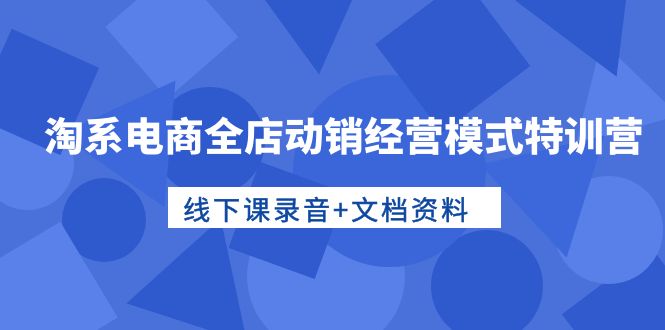 淘宝电子商务全店动销运营模式夏令营，面授课音频 档案文件-课程网