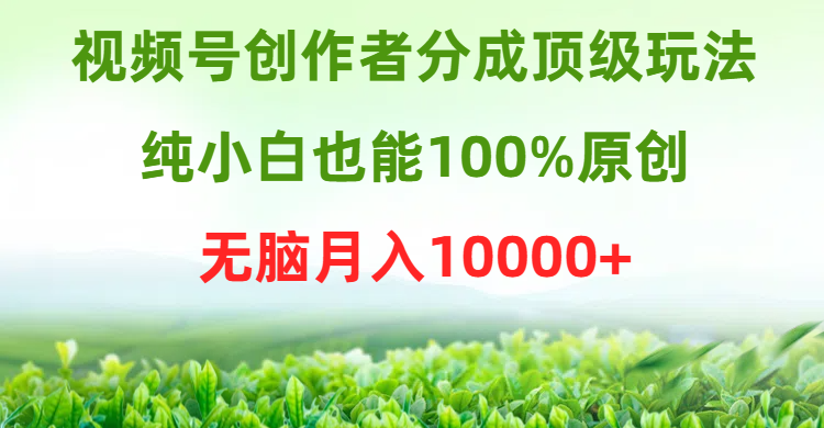 微信视频号原创者分为顶尖游戏玩法，纯小白也可以100%原创设计，没脑子月收入10000-课程网