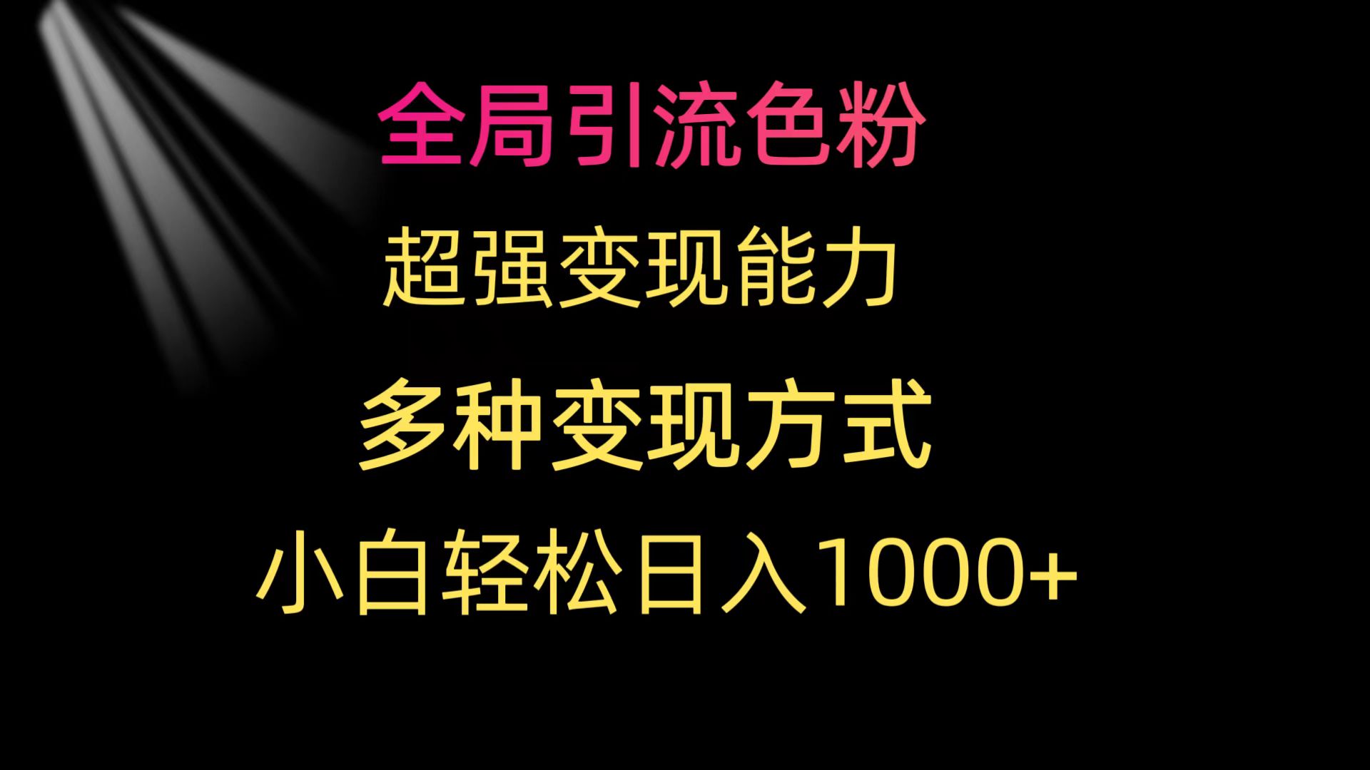 全局性引流方法颜料 极强变现力 多种多样变现模式 新手轻轻松松日入1000-课程网