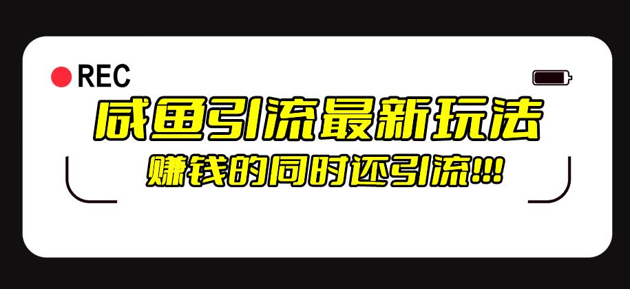 闲鱼引流方式全新升级游戏的玩法，赚钱的此外，日推广方法100-课程网