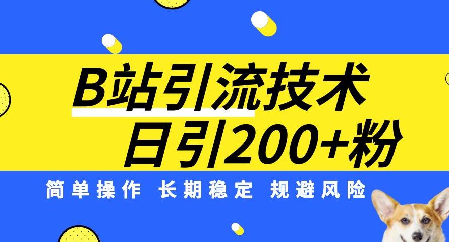 B站引流技术：每日引流方法200精准粉，易操作，持续稳定，防范风险-课程网