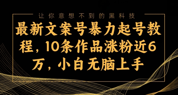 最新文案号暴力起号教程，10条作品涨粉近6万，小白无脑上手-课程网