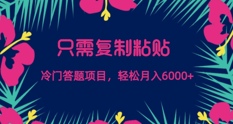 只需复制粘贴，冷门答题项目，轻松月入6000-课程网