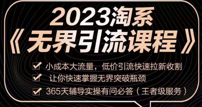 2023淘宝无边引流方法实操课程，低成本高流量，低价引流迅速引流收种，让你快速把握无边突破困境-课程网