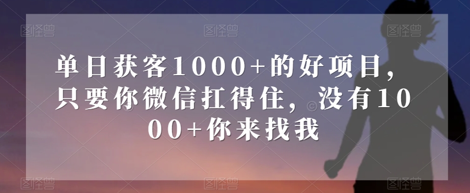 单日获客1000+的好项目，只要你微信扛得住，没有1000+你来找我【揭秘】-暖阳网-优质付费教程和创业项目大全-课程网