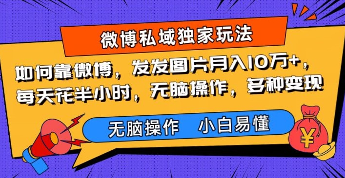 怎样靠新浪微博，发发图月入10万 ，每天花费三十分钟，没脑子实际操作，多种多样转现-暖阳网-优质付费教程和创业项目大全-课程网