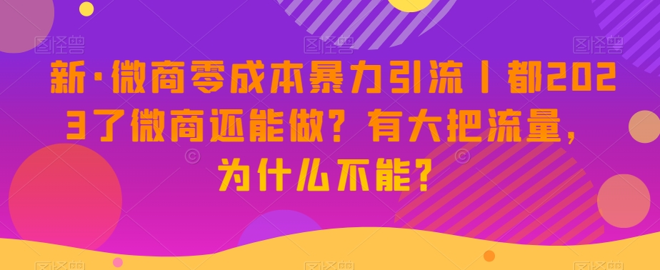 新·微商代理零成本暴力行为引流方法丨都2023了微商代理还可以做？有很大把流量，为什么不可以？-暖阳网-优质付费教程和创业项目大全-课程网