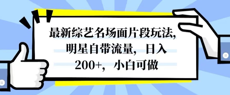 最新综艺名场面片段玩法，明星自带流量，日入200+，小白可做【揭秘】-暖阳网-优质付费教程和创业项目大全-课程网