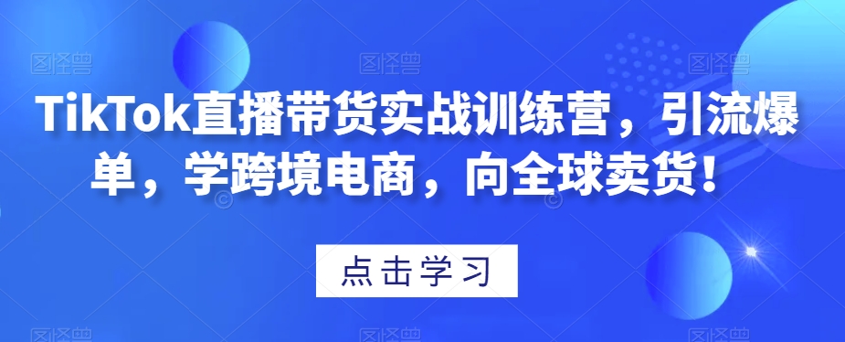 TikTok直播带货实战训练营，引流爆单，学跨境电商，向全球卖货！-课程网