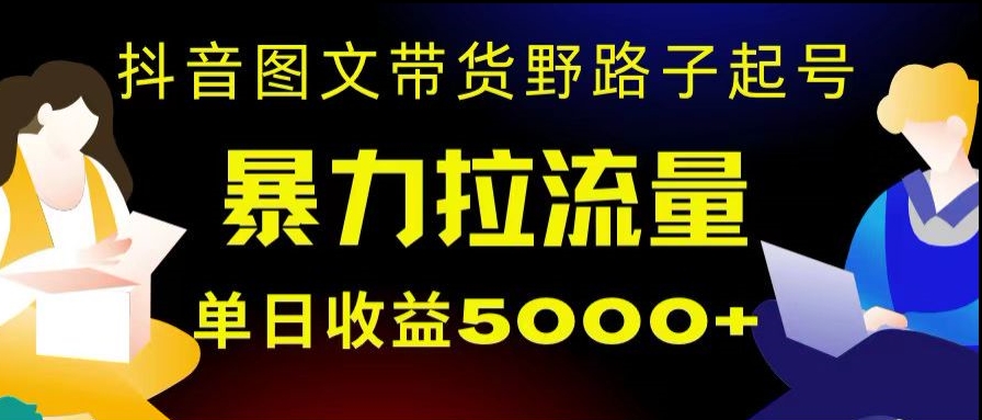 抖音图文带货暴力起号，单日收益5000+，野路子玩法，简单易上手，一部手机即可【揭秘】-课程网