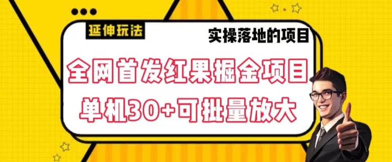 全网首发红果免费短剧掘金项目，单机30+可批量放大【揭秘】-课程网