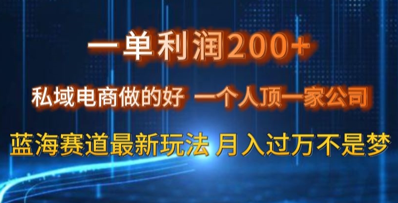 一单利润200私域电商做的好，一个人顶一家公司蓝海赛道最新玩法【揭秘】-课程网