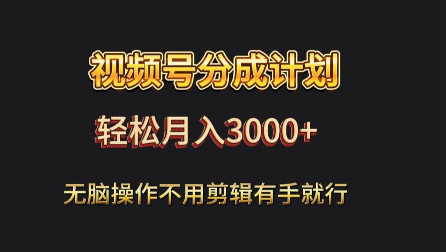 视频号流量分成，不用剪辑，有手就行，轻松月入2000+-课程网