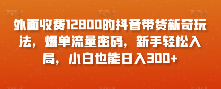 外面收费12800的抖音带货新奇玩法，爆单流量密码，新手轻松入局，小白也能日入300+【揭秘】-课程网