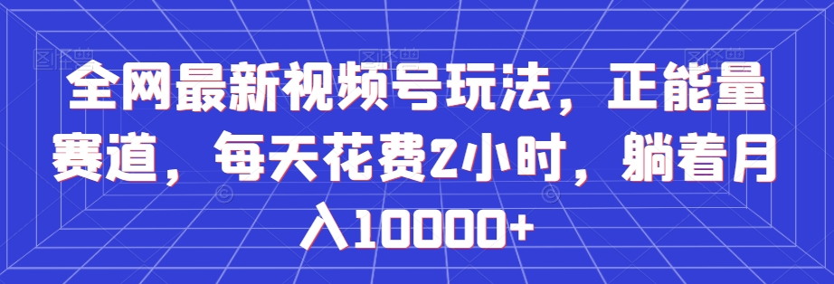 全网最新视频号玩法，正能量赛道，每天花费2小时，躺着月入10000+【揭秘】-课程网