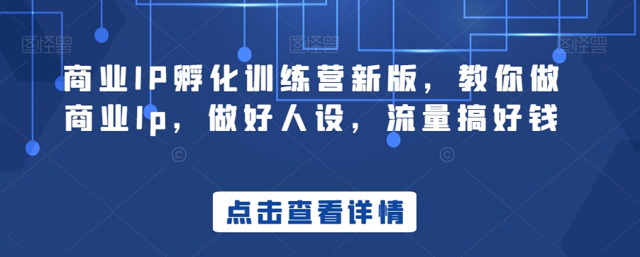 商业IP孵化训练营新版，教你做商业Ip，做好人设，流量搞好钱-课程网