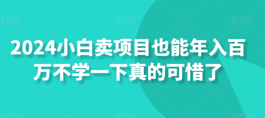 2024小白卖项目也能年入百万不学一下真的可惜了-课程网