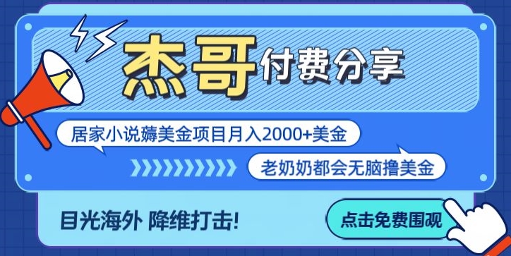 拆解海外撸美金项目月入2000美刀详细指导-课程网