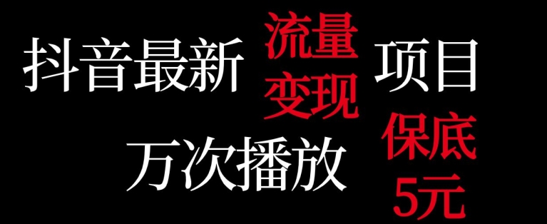 抖音流量变现，万次播放保底5元，额外收入-课程网