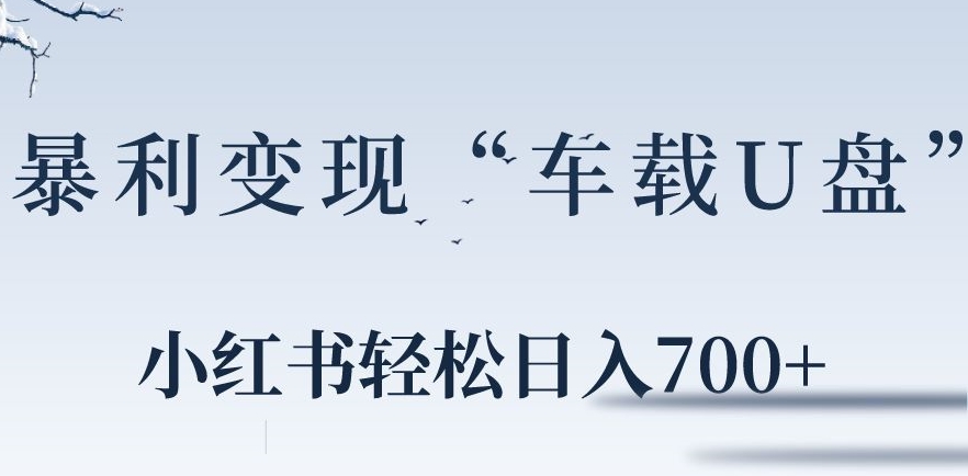 小红书“车载U盘”暴利引流，日入700+-课程网