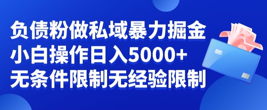 负债粉私域暴力掘金，小白操作入5000，无经验限制，无条件限制【揭秘】-课程网