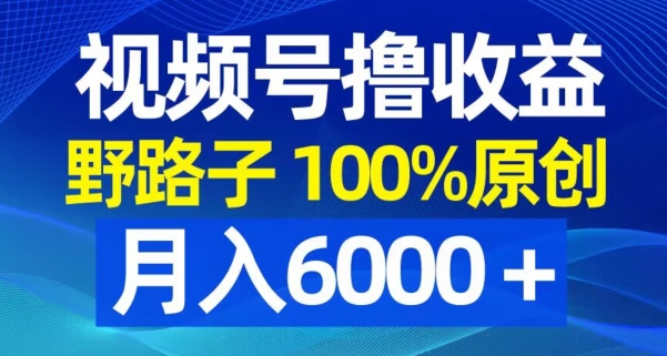 视频号野路子撸收益，100%原创，条条爆款，月入6000＋【揭秘】-课程网