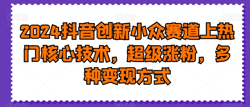 2024抖音创新小众赛道上热门核心技术，超级涨粉，多种变现方式【揭秘】-课程网