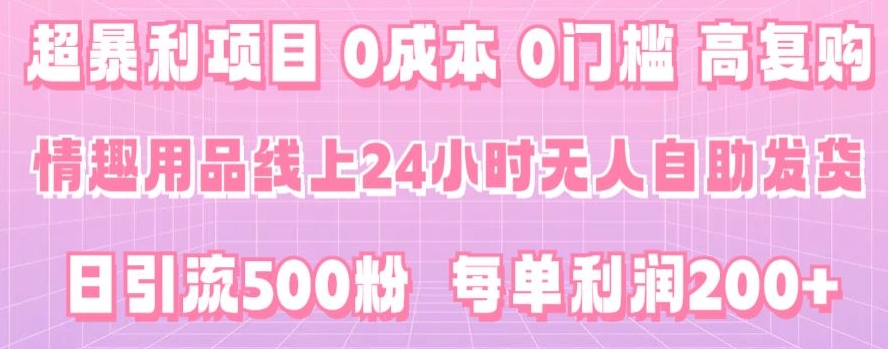 超暴利项目，情趣用品线上24小时-无人自助发货，0成本，0门槛，高复购-课程网