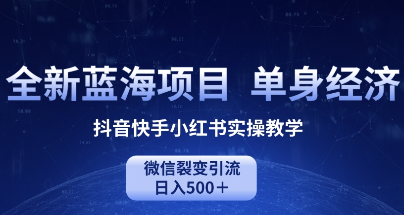 全新蓝海项目，单身经济抖音快手小红书实操教学，微信裂变引流日入500＋-课程网