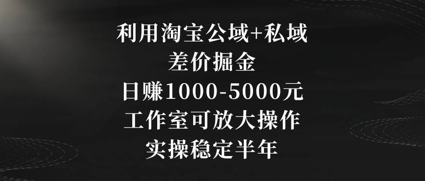 利用淘宝公域+私域差价掘金，日赚1000-5000元，工作室可放大操作，实操稳定半年【揭秘】-课程网