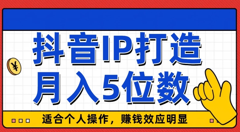 抖音IP打造，适合个人操作，赚钱效应明显，月入5位数-课程网