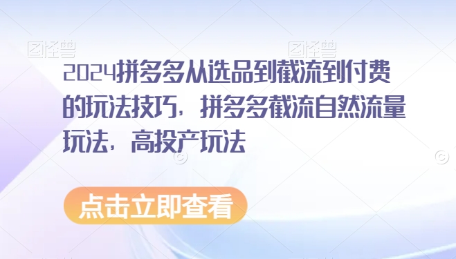 2024拼多多从选品到截流到付费的玩法技巧，拼多多截流自然流量玩法，高投产玩法-课程网