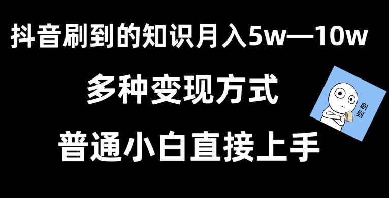 抖音刷到的知识，每天只需2小时，日入2000+，暴力变现，普通小白直接上手【揭秘】-课程网