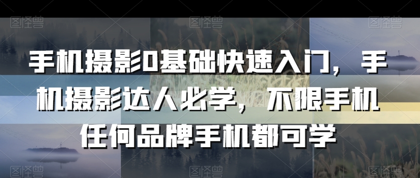 手机摄影0基础快速入门，手机摄影达人必学，不限手机任何品牌手机都可学-课程网