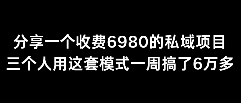 分享一个外面卖6980的私域项目三个人用这套模式一周搞了6万多【揭秘】-课程网