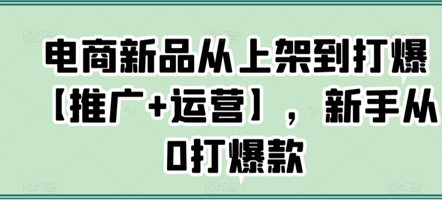 电商新品从上架到打爆【推广+运营】，新手从0打爆款-课程网